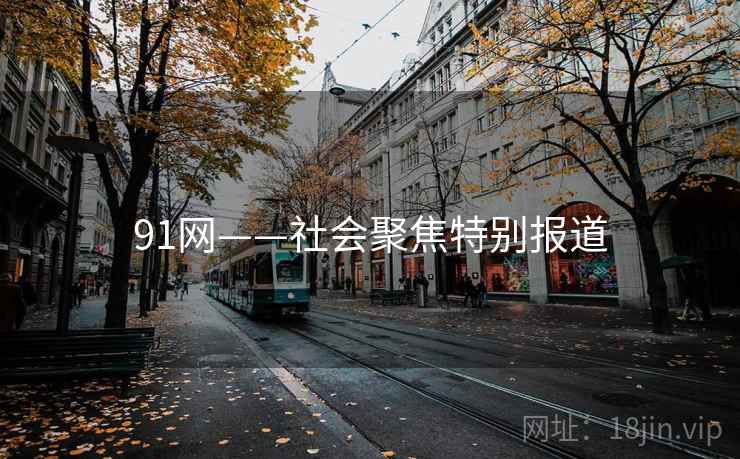 91网——社会聚焦特别报道