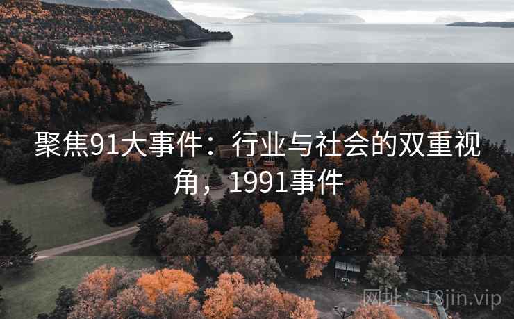 聚焦91大事件：行业与社会的双重视角，1991事件