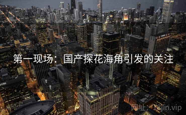 第一现场:国产探花海角引发的关注 第一现场:国产探花海角引发的关注