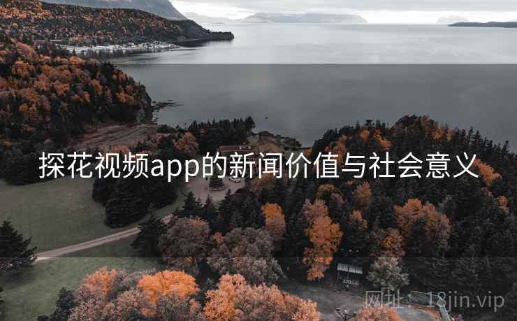 探花视频app的新闻价值与社会意义