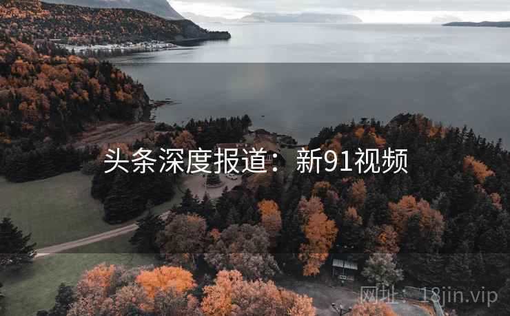 头条深度报道：新91视频