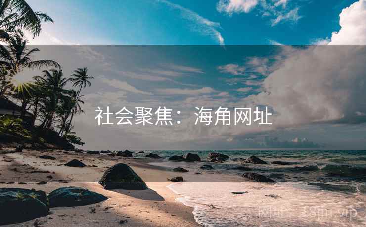 社会聚焦：海角网址
