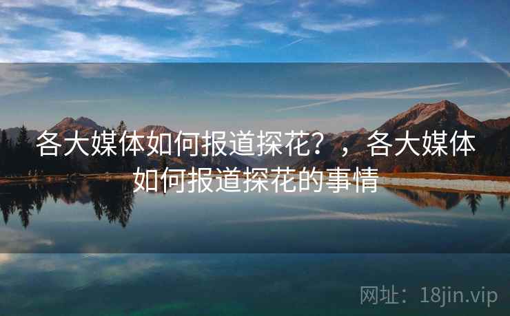 各大媒体如何报道探花？，各大媒体如何报道探花的事情